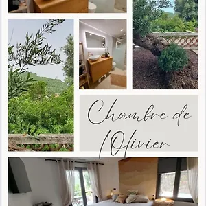 Couette-café De L Olivier